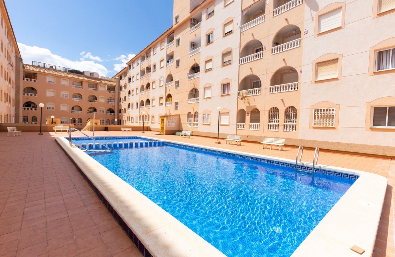 Rynek wtórny - Studio/Kawalerka - Torrevieja - Centro - Muelle Pesquero
