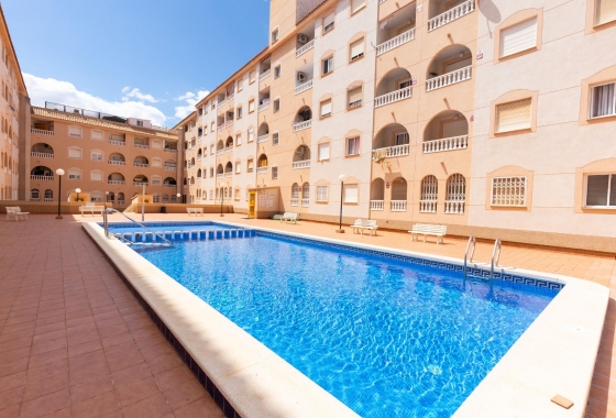 Rynek wtórny - Studio/Kawalerka - Torrevieja - Centro - Muelle Pesquero