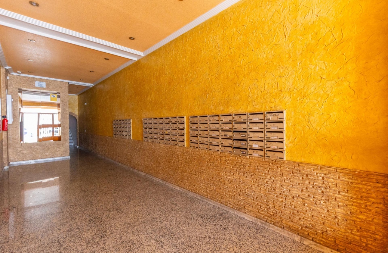 Rynek wtórny - Studio/Kawalerka - Torrevieja - Centro - Muelle Pesquero