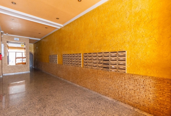Rynek wtórny - Studio/Kawalerka - Torrevieja - Centro - Muelle Pesquero