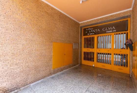 Rynek wtórny - Studio/Kawalerka - Torrevieja - Centro - Muelle Pesquero