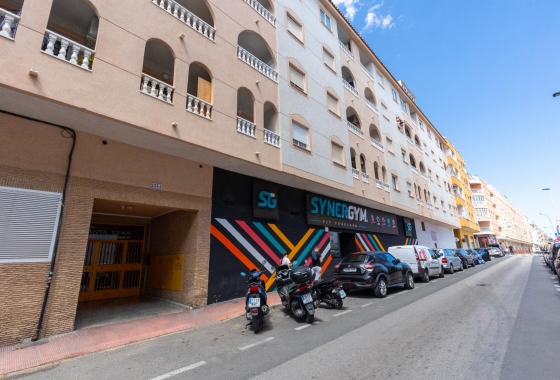 Rynek wtórny - Studio/Kawalerka - Torrevieja - Centro - Muelle Pesquero