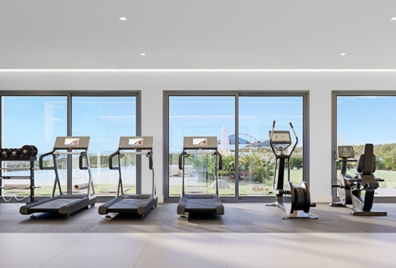New Build - Penthouse - Casares