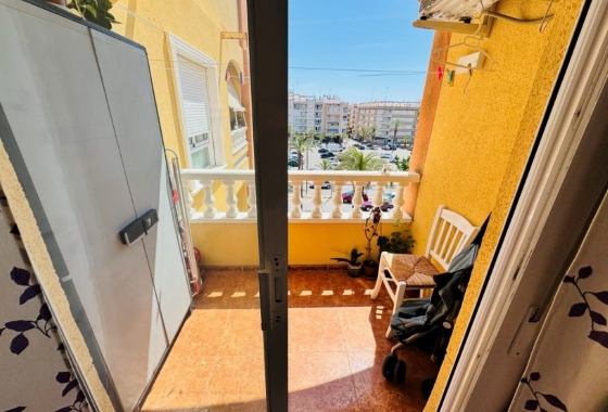 Rynek wtórny - Apartament - Guardamar del Segura - Pueblo