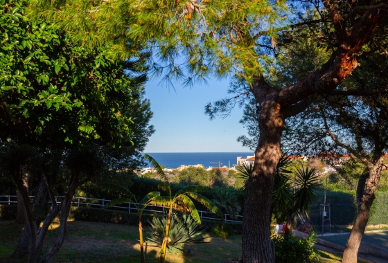 Rynek wtórny - Apartament - Torrevieja - Torreblanca