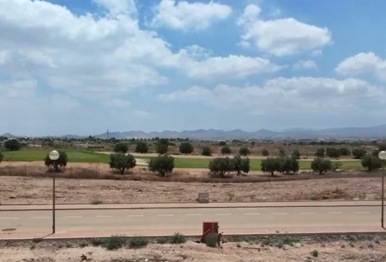 Obra nueva - Detached - Hacienda del Alamo Golf