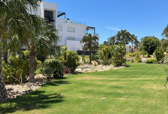 Rynek wtórny - Apartament - Torrevieja - Los Altos