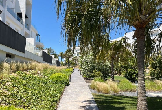 Rynek wtórny - Apartament - Torrevieja - Los Altos