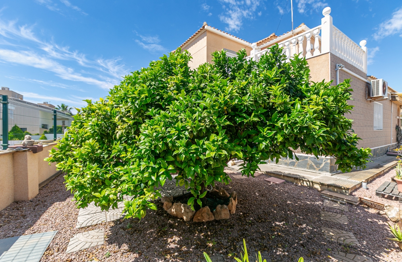 Rynek wtórny - Villa - Orihuela Costa - La Zenia