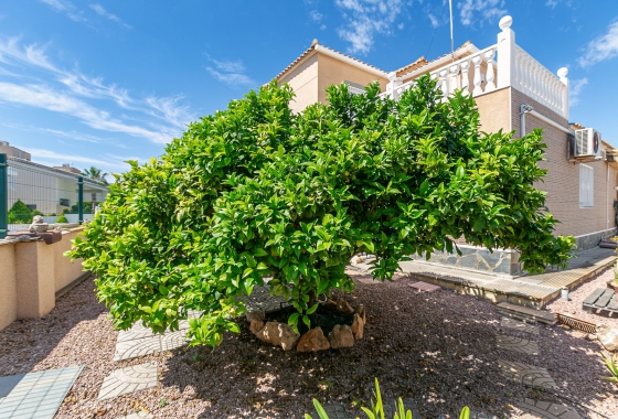 Rynek wtórny - Villa - Orihuela Costa - La Zenia