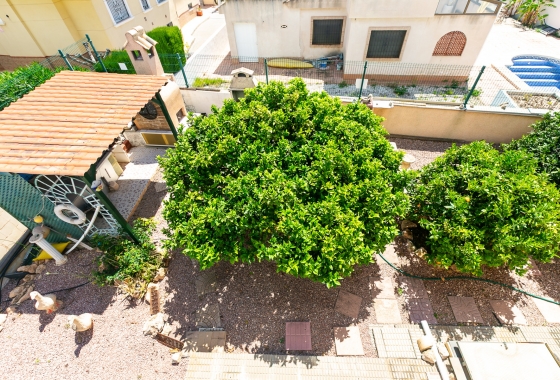 Rynek wtórny - Villa - Orihuela Costa - La Zenia