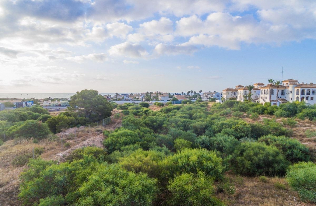Rynek pierwotny - Apartament - Orihuela Costa - Playa Flamenca