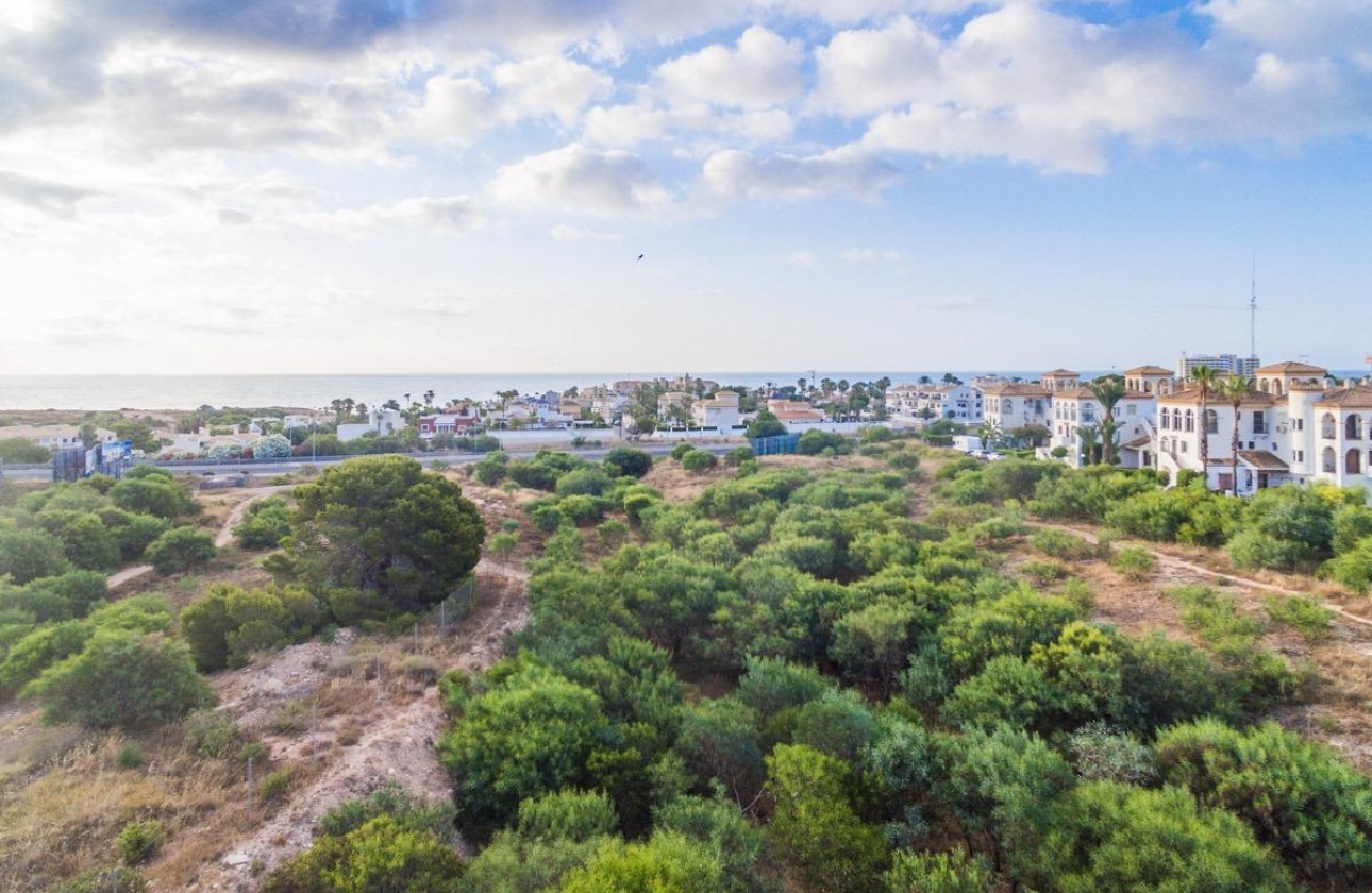 Rynek pierwotny - Apartament - Orihuela Costa - Playa Flamenca