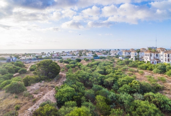 Rynek pierwotny - Apartament - Orihuela Costa - Playa Flamenca