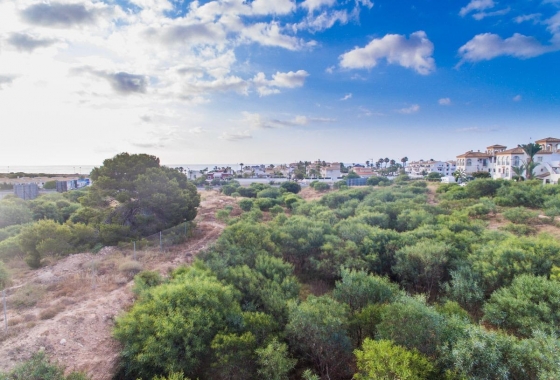 Rynek pierwotny - Apartament - Orihuela Costa - Playa Flamenca