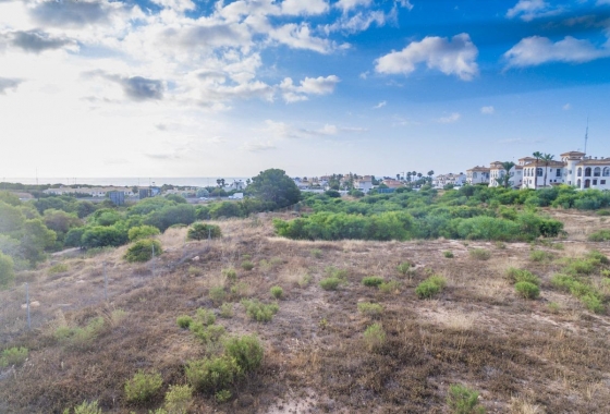 Rynek pierwotny - Apartament - Orihuela Costa - Playa Flamenca