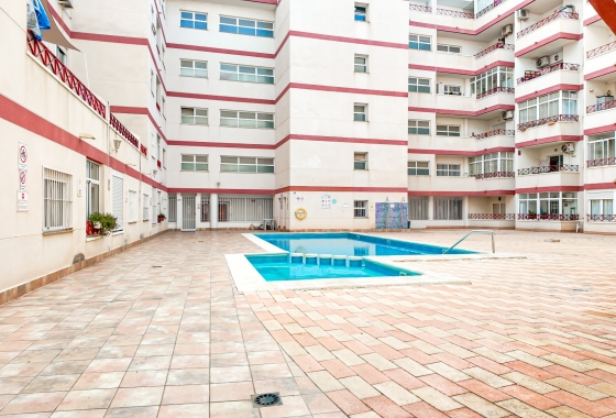 Rynek wtórny - Apartament - Torrevieja - Parque de las Naciones