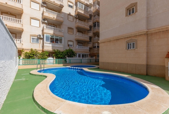 Rynek wtórny - Apartament - Torrevieja - Nueva Torrevieja