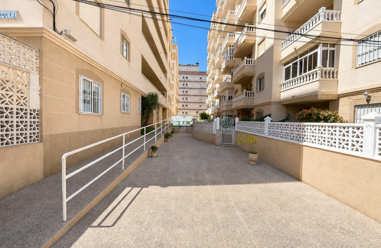 Rynek wtórny - Apartament - Torrevieja - Nueva Torrevieja