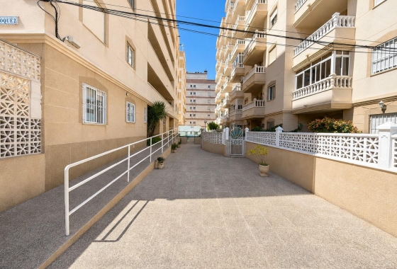Rynek wtórny - Apartament - Torrevieja - Nueva Torrevieja