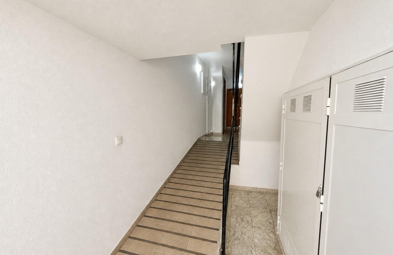 Rynek wtórny - Apartament - Torrevieja - Nueva Torrevieja