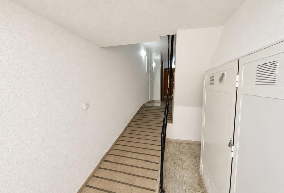 Rynek wtórny - Apartament - Torrevieja - Nueva Torrevieja