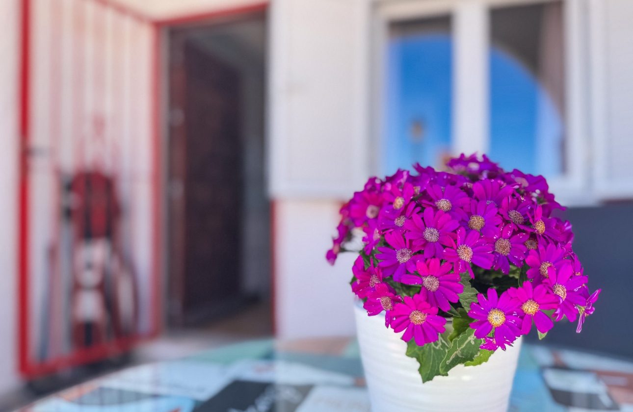 Rynek wtórny - Dupleks - Torrevieja - Cabo cervera