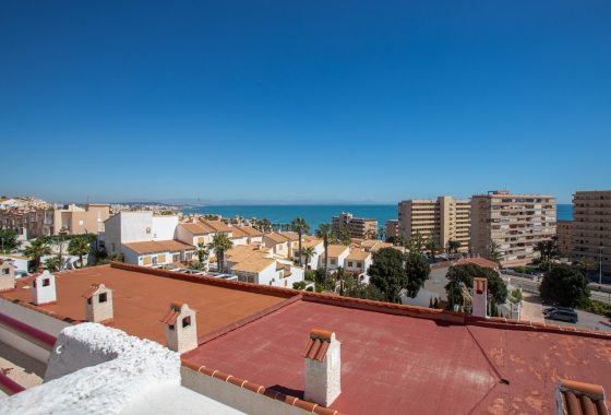 Rynek wtórny - Dupleks - Torrevieja - Cabo cervera