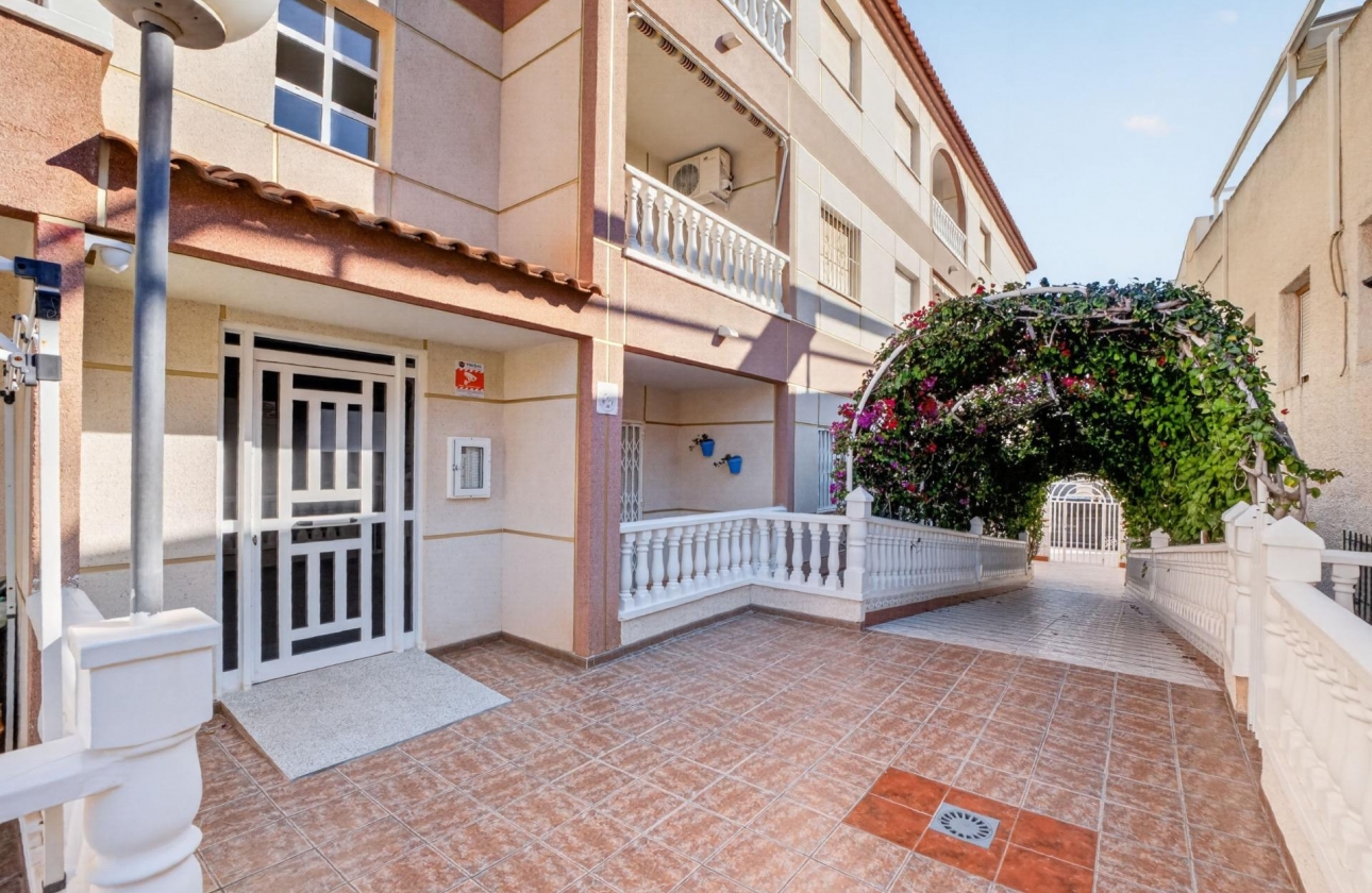 Reventa - Apartment - Torrevieja - Playa de los Locos