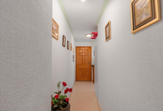 Rynek wtórny - Apartament - Torrevieja - Playa del Cura
