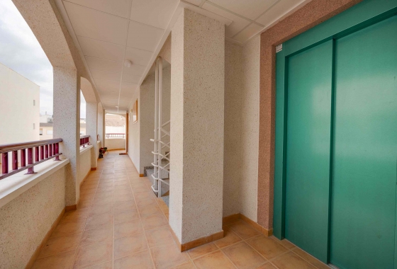 New Build - Apartment - San Fulgencio