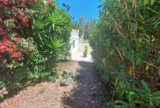 Rynek wtórny - Villa - San Miguel de Salinas - Blue Lagoon