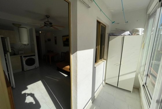 Rynek wtórny - Studio/Kawalerka - Torrevieja - Centro