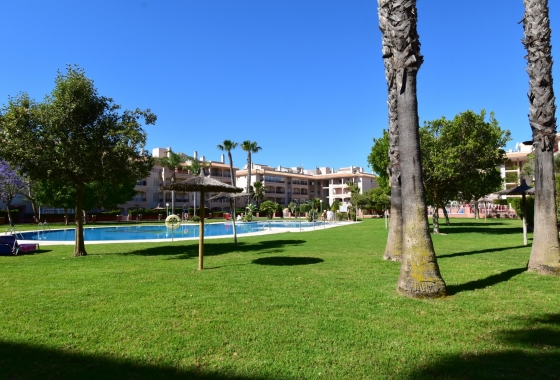 Rynek wtórny - Dupleks - Orihuela Costa - Playa Flamenca
