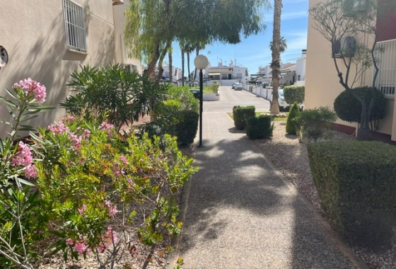 Rynek wtórny - Apartament - Orihuela Costa - Playa Flamenca