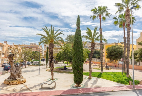 Reventa - Ático - Torrevieja - Estacion de autobuses