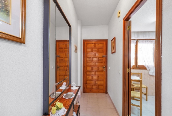 Reventa - Apartment - Torrevieja - Estacion de autobuses