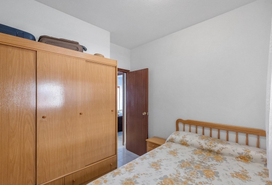 Rynek wtórny - Apartament - Torrevieja - Estacion de autobuses