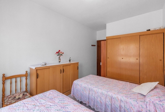 Rynek wtórny - Apartament - Torrevieja - Estacion de autobuses