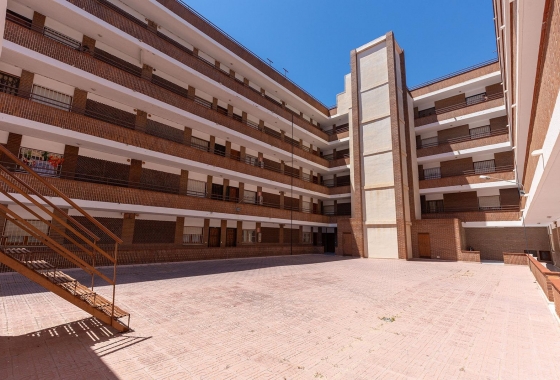 Rynek wtórny - Apartament - Torrevieja - Estacion de autobuses