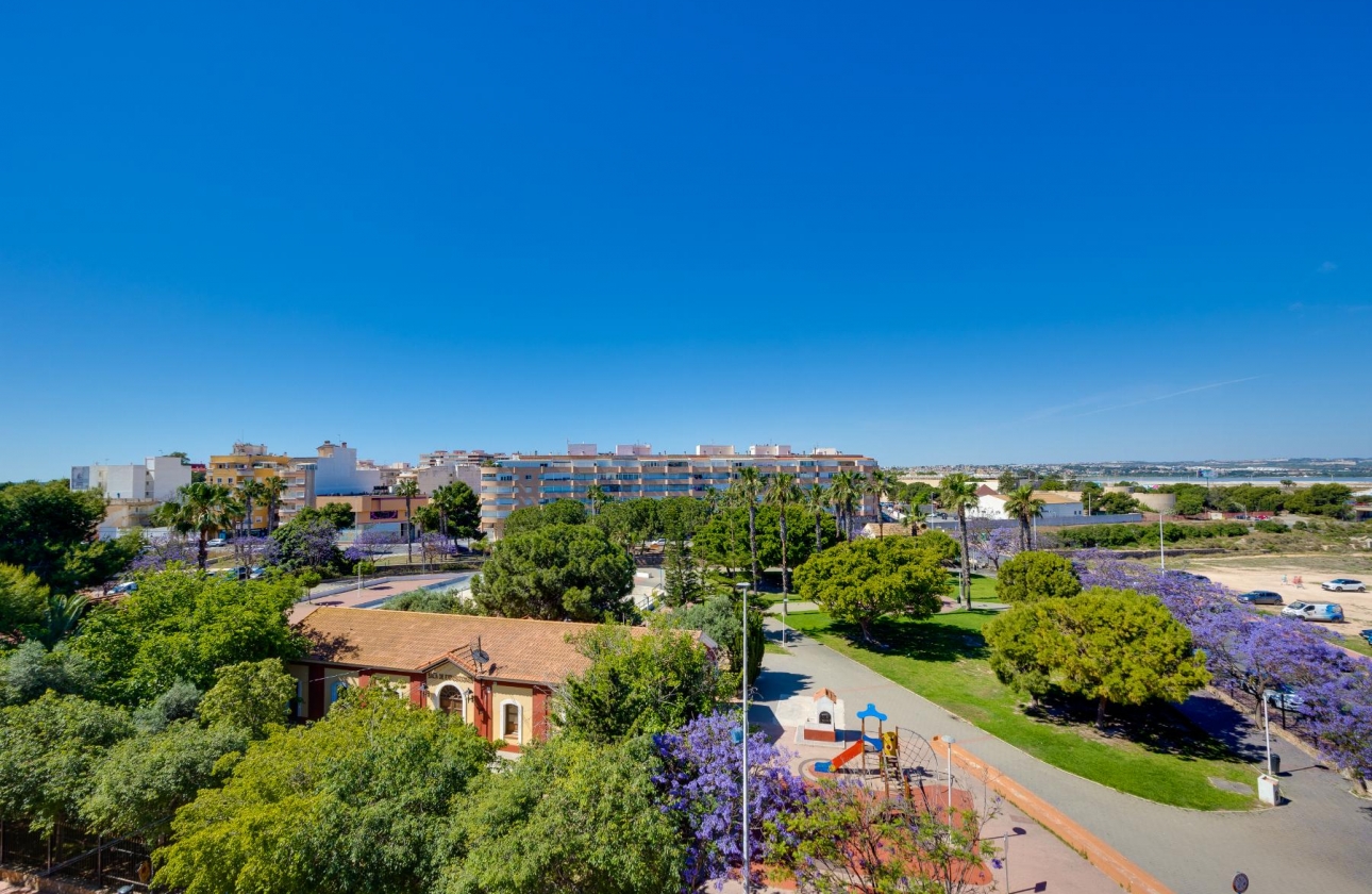 Rynek wtórny - Apartament - Torrevieja - Acequion