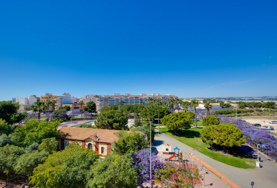 Rynek wtórny - Apartament - Torrevieja - Acequion