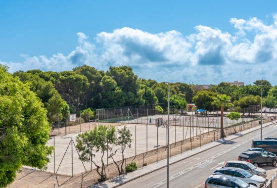 New Build - Villa - Pilar de la Horadada