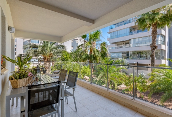 Rynek wtórny - Apartament - Orihuela Costa - Los Dolses