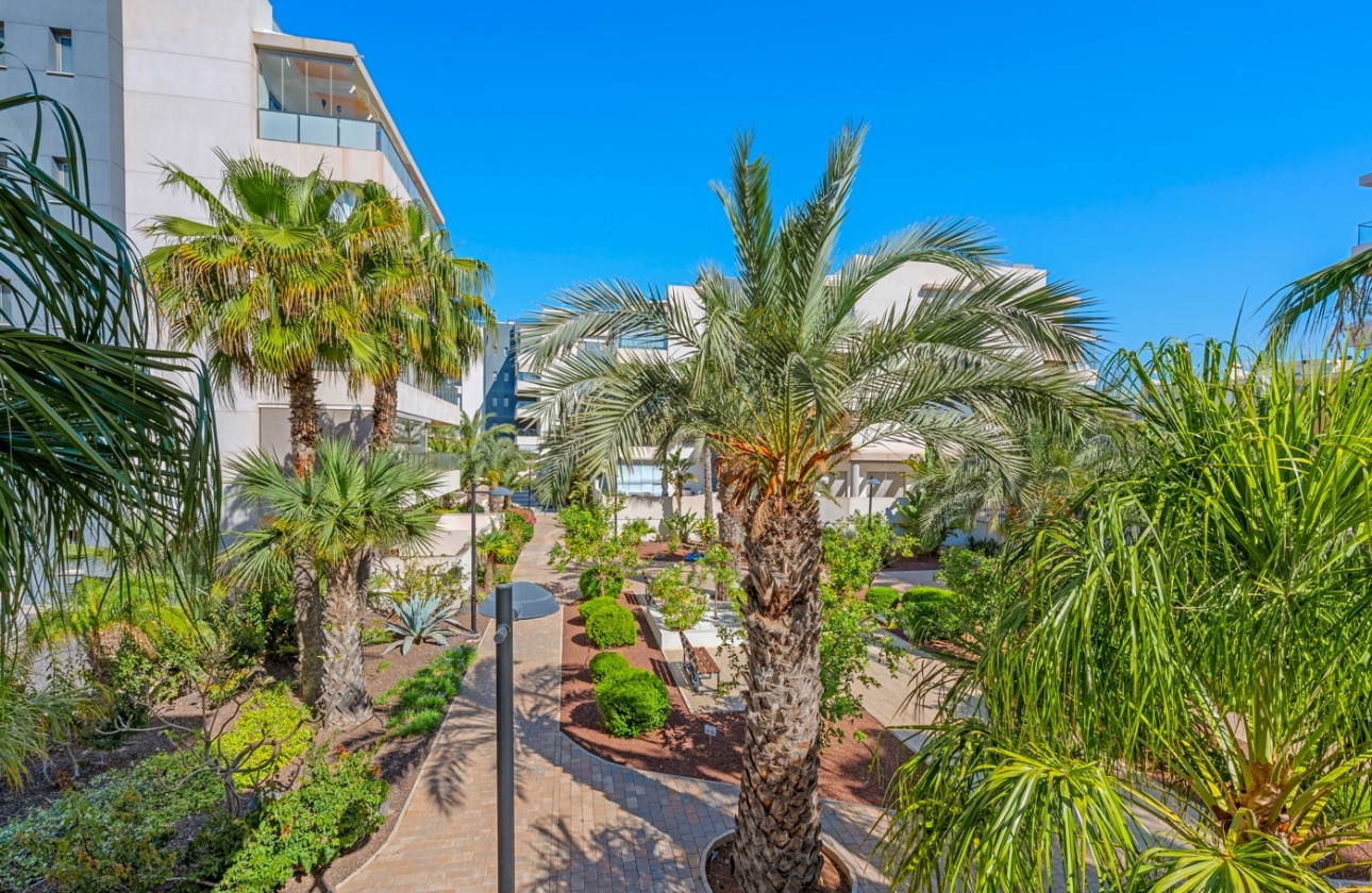 Rynek wtórny - Apartament - Orihuela Costa - Los Dolses