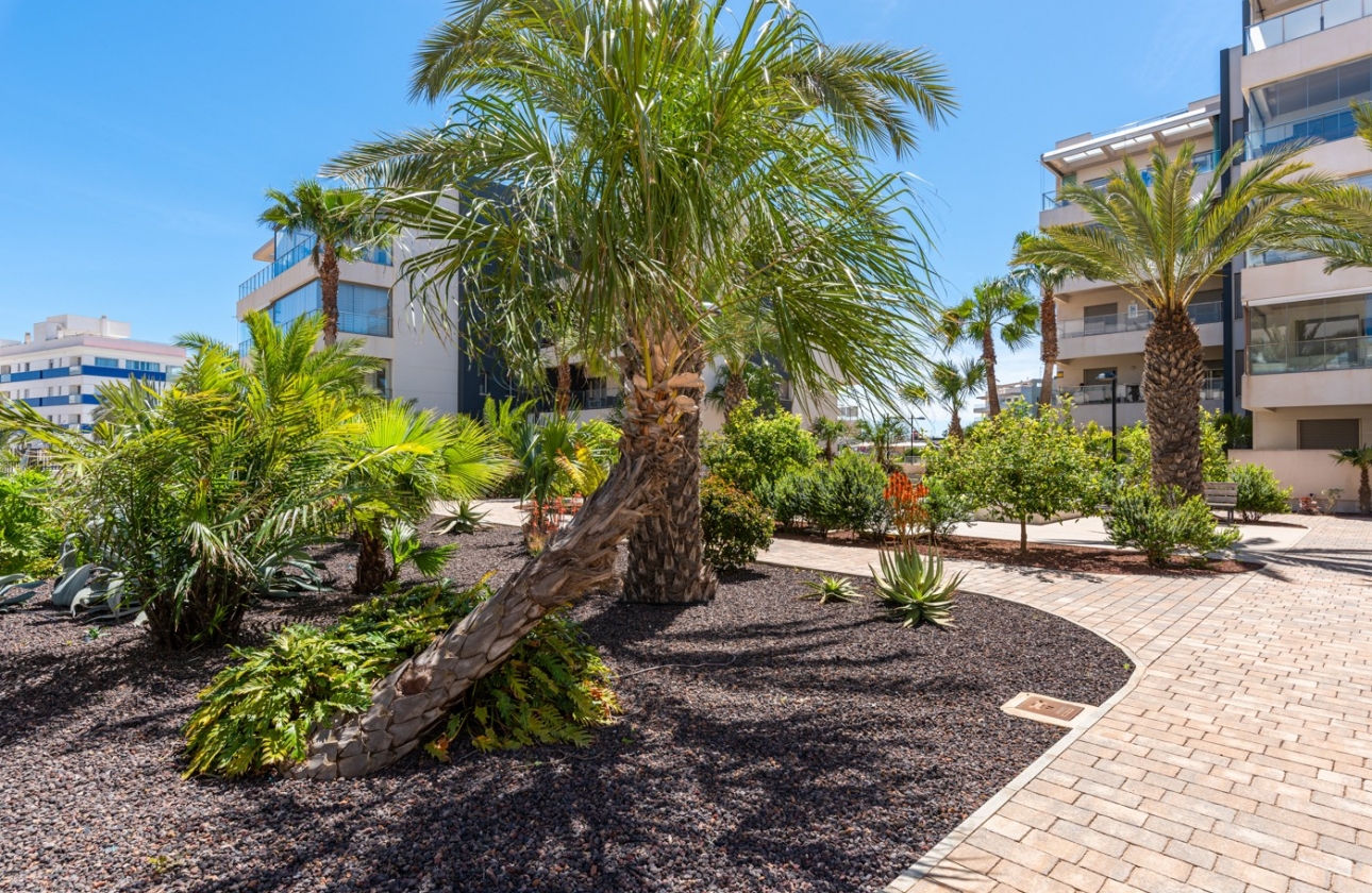 Rynek wtórny - Apartament - Orihuela Costa - Los Dolses