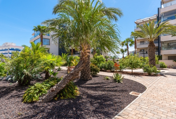 Rynek wtórny - Apartament - Orihuela Costa - Los Dolses