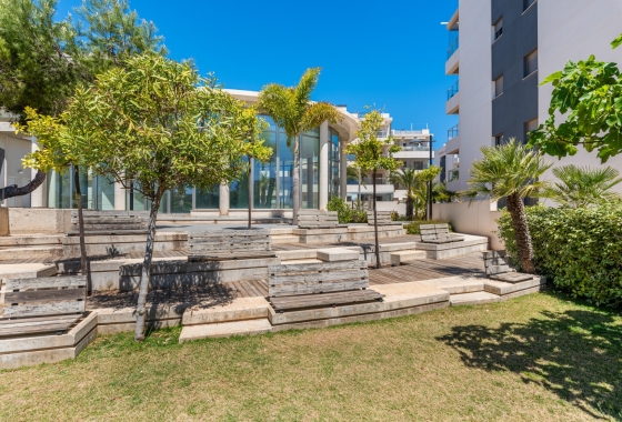 Rynek wtórny - Apartament - Orihuela Costa - Los Dolses