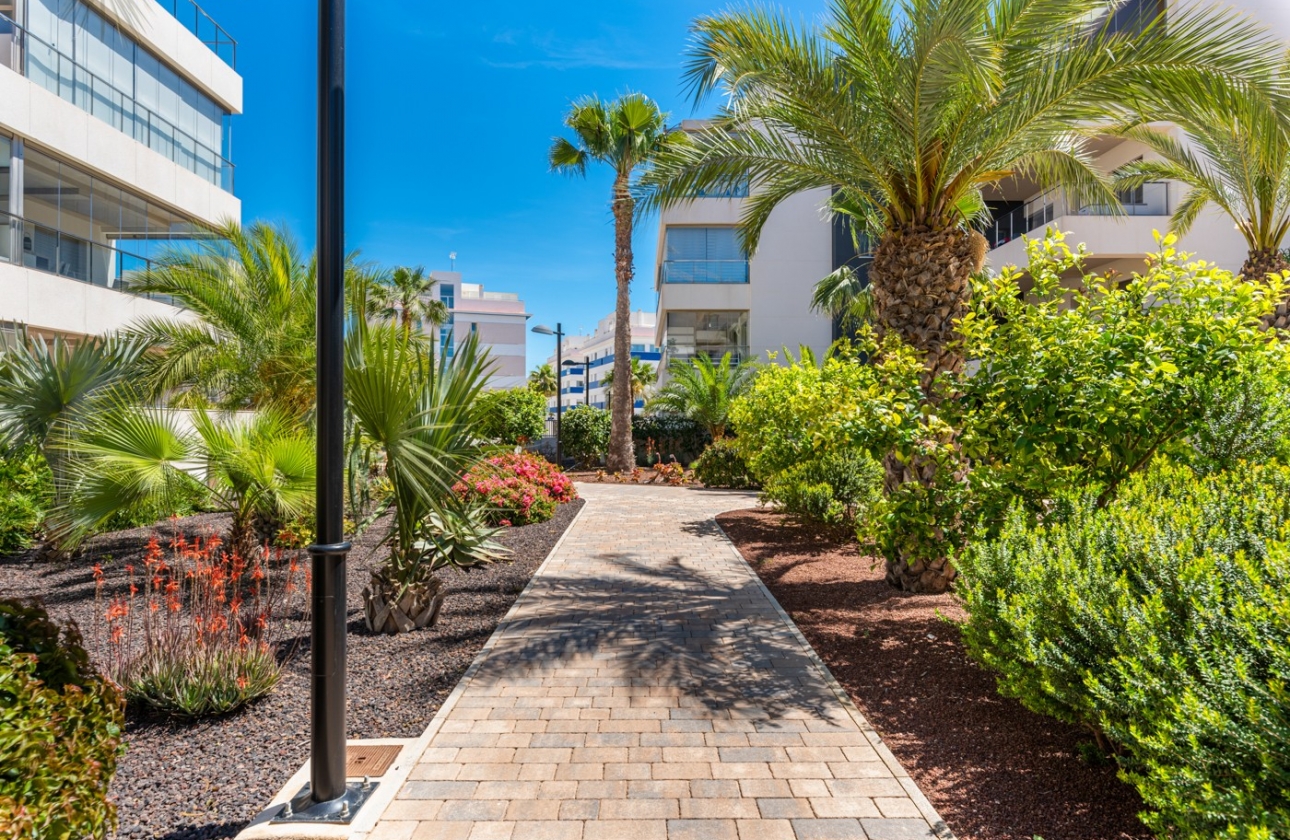 Rynek wtórny - Apartament - Orihuela Costa - Los Dolses