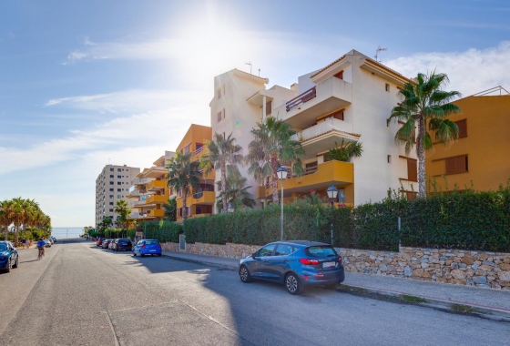 Rynek wtórny - Apartament - Torrevieja - Punta Prima